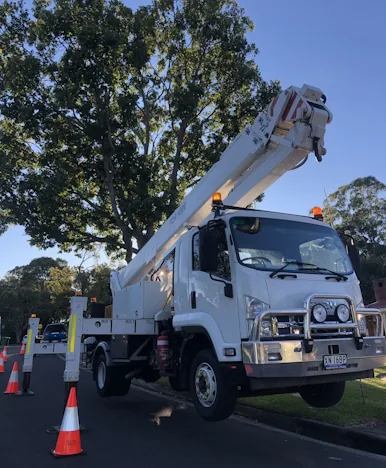 Elevated Work Platforms